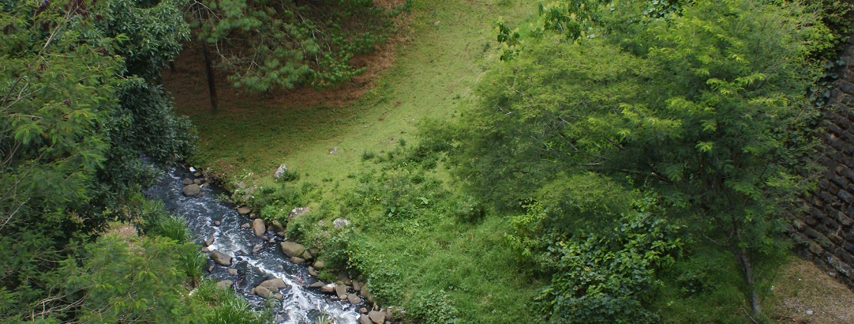 rio