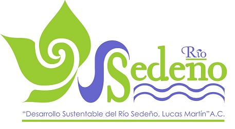 logo DSRS